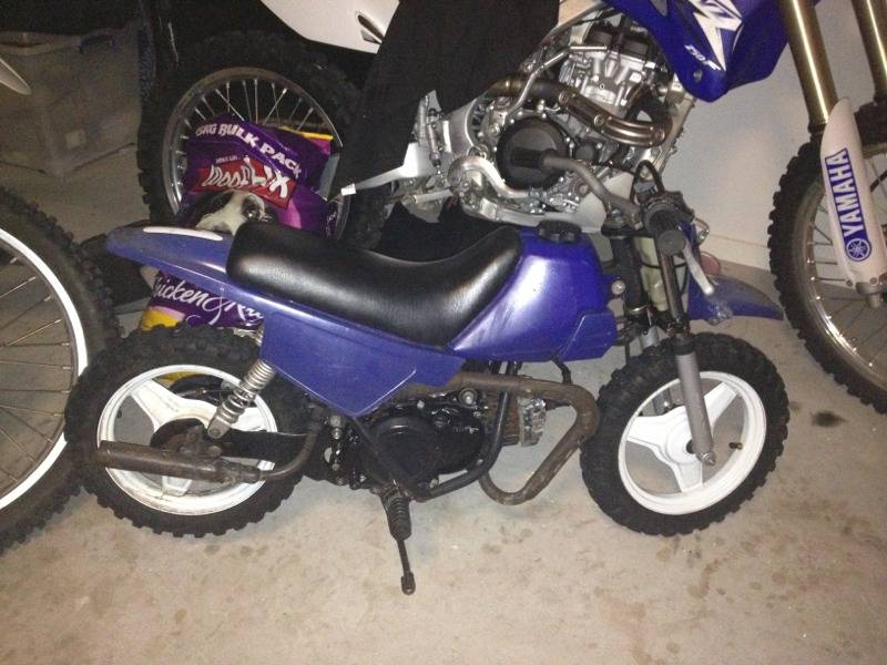 $650 Pee wee 50cc - Brisbane Motorcycles
