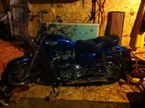 Tiger Triumph  - Kitchener Motorcycles