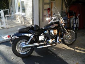 mustang Seat  - Kitchener Motorcycles