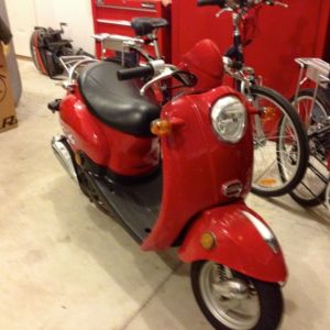 GAS POWERED SCOOTER - Brantford Motorcycles