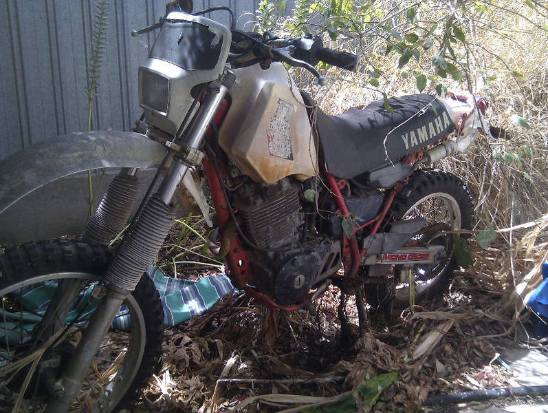 URGENT Yamaha TT 600cc - Adelaide Motorcycles