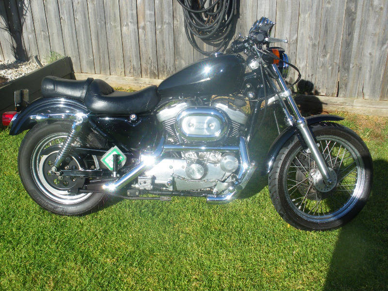 Davidson Sportster - Melbourne Motorcycles