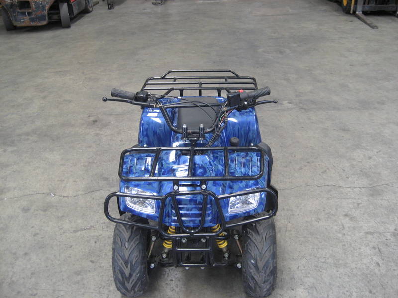 Kids 110cc Quad  - Perth Motorcycles
