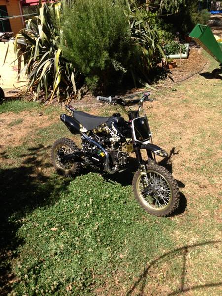 pro LE 140cc - Melbourne Motorcycles