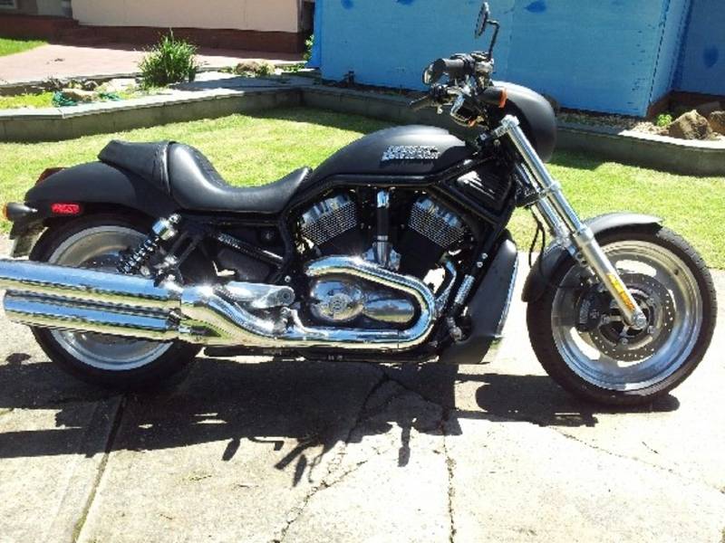 harley davidson nightrod - Sydney Motorcycles