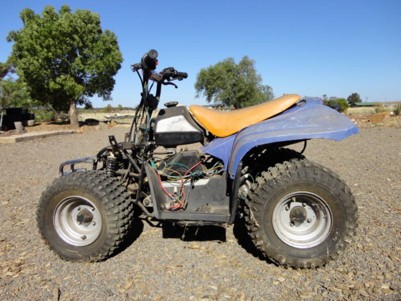Quad Bike  Kids 50cc  - Adelaide Motorcycles