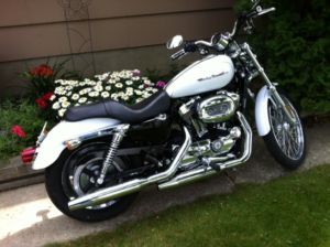 Harley-Davidson Sportster - Lethbridge Motorcycles