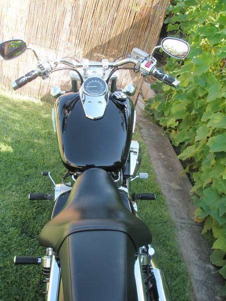 6200 Firm - Adelaide Motorcycles