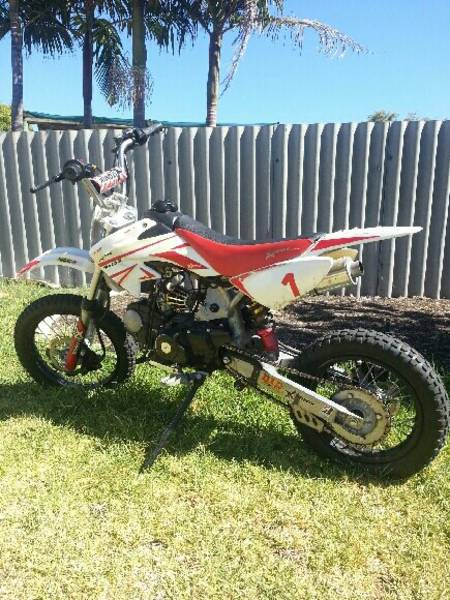 pit bike  140cc atomik  - Perth Motorcycles
