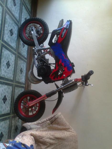 Conti 49cc pit bike - Pretoria Motorcycles