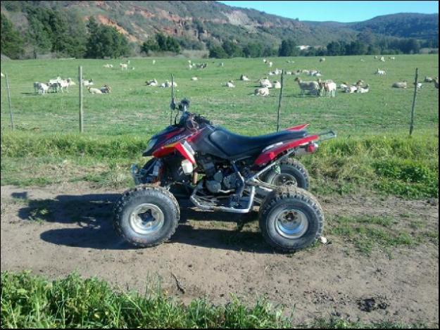 arctic cat  4 wheel  - Cape Town Motorcycles