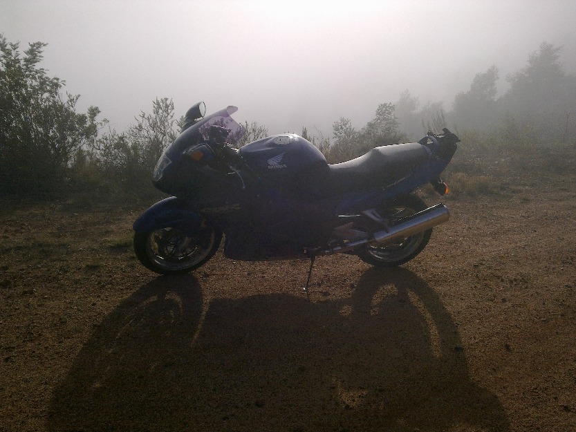 Excellent condition Black Bird - Cape Town Motorcycles