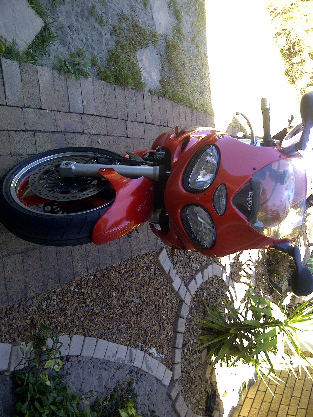 2001  Triumph rs sprint 955i - Cape Town Motorcycles