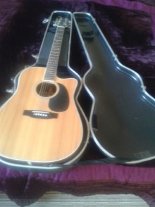 Takemine jasmine - Dublin Musical Instruments