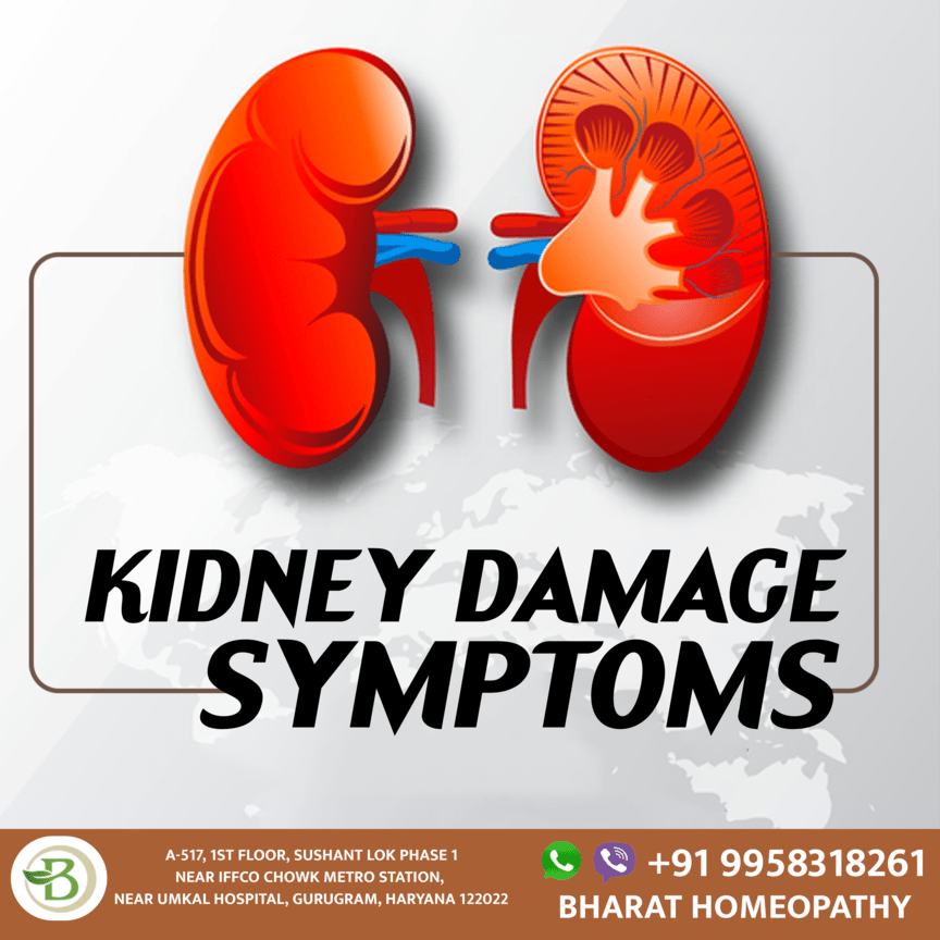 Unveiling the Silent Struggles: Recognizing the Signs and Symptoms of Kidney Disease - Gurgaon Health, Personal Trainer