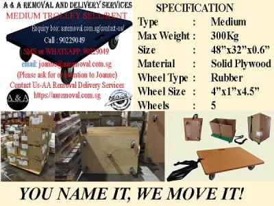Heavy Stuffs to Move? We Sell Quality Trolley w/ Max. Cap of 300Kg. - Singapore Region Other