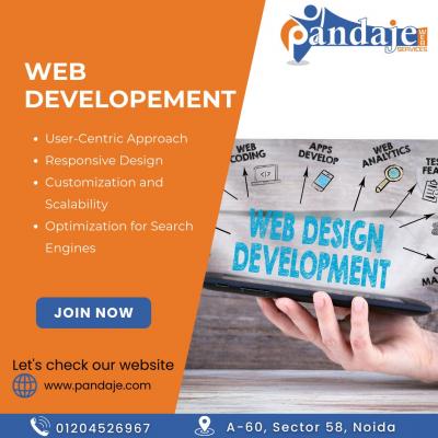 Website Development Company- Pandaje Web Services - Delhi Professional Services