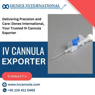 IV Cannula Exporter