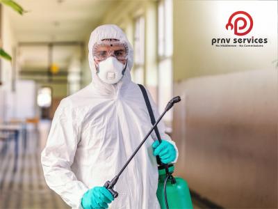 PEST CONTROL SERVICES AT NAMPALLY IN HYDERABAD - Hyderabad Other