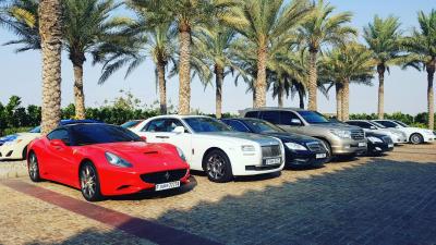 Find Top-Rated Used Cars in the UAE - Other Used Cars