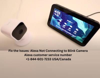 Fix the Issues: Alexa Not Connecting to Blink Camera - Seattle Computer