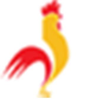 D&D Poultry Wholesale Chicken Toronto - Toronto Other