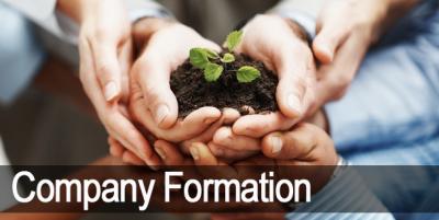 Company formation in India - Delhi Professional Services