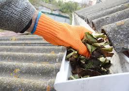 Best service for Gutter Cleaning in Banff Trail - Other Other