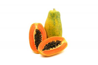 Papaya Extract Manufacturers and Suppliers in India