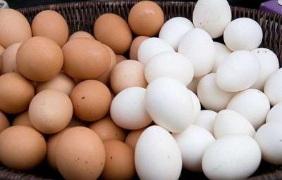 Wholesale Supplier Best Quality Fresh Brown Chicken Eggs For Sale | Australia  - Sydney Other