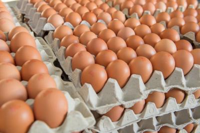 Wholesale Supplier Best Quality Fresh Brown Chicken Eggs For Sale | Australia  - Sydney Other