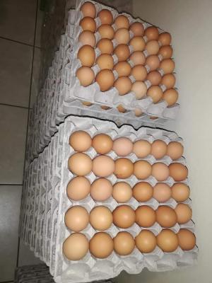Bulk Fresh Table Chicken Eggs For Sale | Hong Kong - Central and Western Other