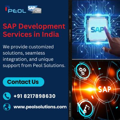 SAP Development Services in India - Bangalore Other