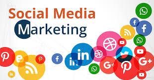  The Best Social Media Marketing Platform for Your Business - Chandigarh Other