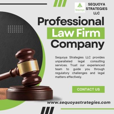 Legal Consulting Services by Sequoya Strategies LLC - Washington Lawyer