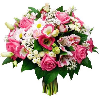 Congratulations Floral Arrangement - Brantford Other