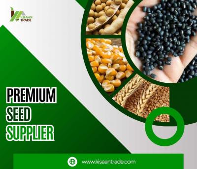Get Improved Crops with Our Premium Seed Supplier - Indore Other