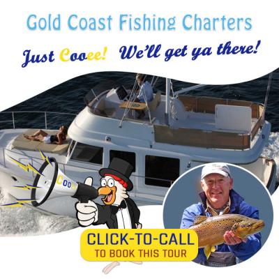 Looking For The Cooee Fishing Tours in Brisbane - Brisbane Other