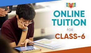Mom & Dad Tired? Get Your Kid CBSE Class 6 Online Tuition Today ! - Delhi Professional Services