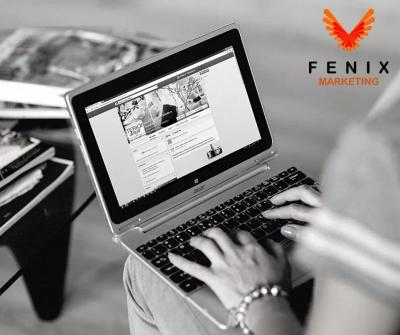 Fenix Marketing | Digital Marketing Agency Johannesburg | Social Media & Google Ads Agency Johannesb - Johannesburg Other