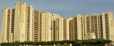 Luxury Apartment for Rent in Gurgaon - Gurgaon Apartments, Condos