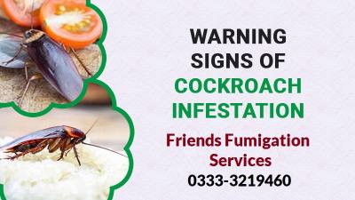 Fumigation Services in Karachi - Pest Control Experts 0333-3219460 - Karachi Professional Services