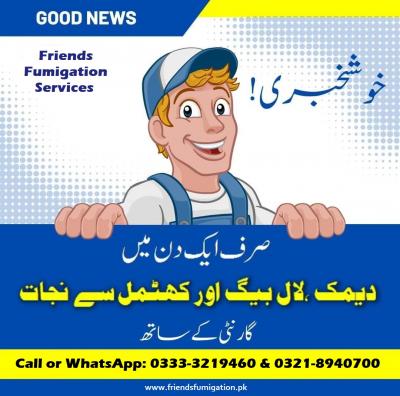 Fumigation Services Karachi - Call Now 0333-3219460 - Karachi Professional Services