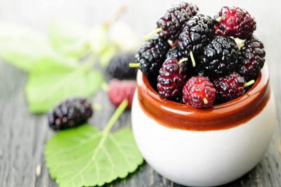 Mulberry Extract Manufacturers and Suppliers in India