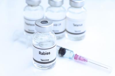 Rabies Prevention and Control Measures - Intrigue Health - London Health, Personal Trainer