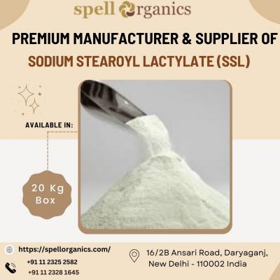 Trusted Sodium stearoyl lactylate (SSL) Manufacturer in India - Delhi Other