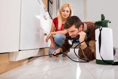 Reliable Pest Control Solutions in Dubai - Book Now! - Dubai Other