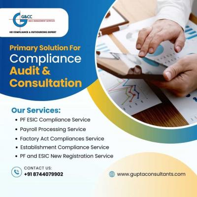 Audit Compliance Services Delhi - Delhi Professional Services