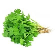 Coriander (Cilantro)Fresh