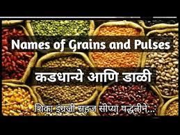 grains and pulses